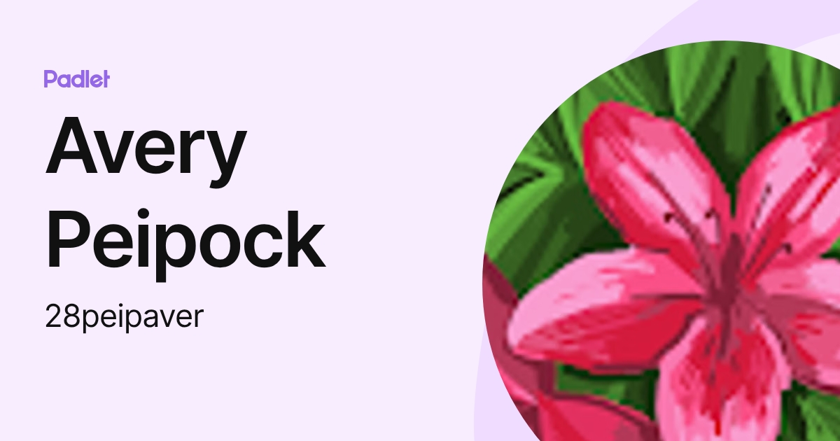 Avery Peipock (28peipaver) profile | Padlet