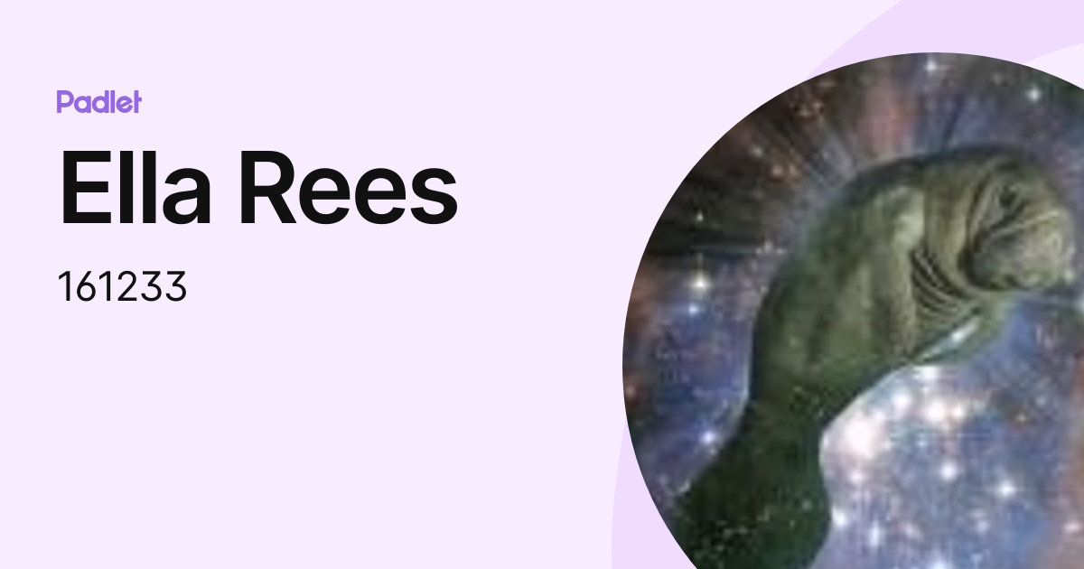 Ella Rees (161233) profile | Padlet