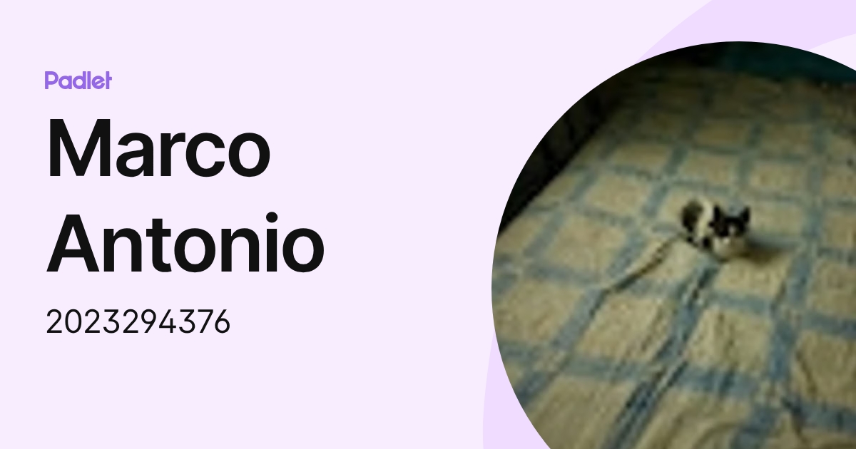 Marco Antonio (2023294376) profile | Padlet
