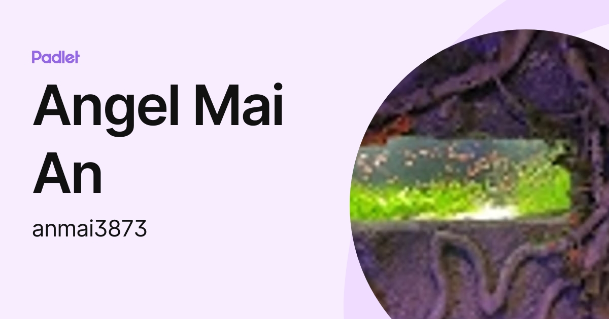 Angel Mai An (anmai3873) profile | Padlet