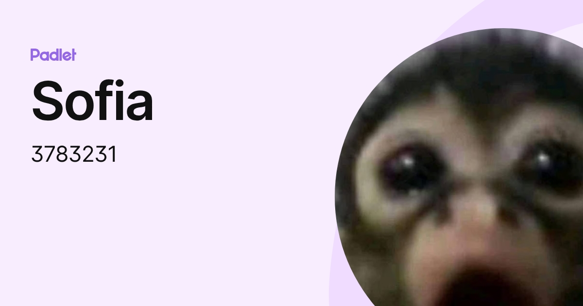 Sofia (3783231) profile | Padlet