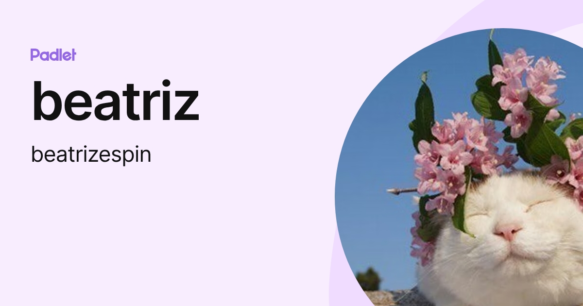 beatriz (beatrizespin) profile | Padlet