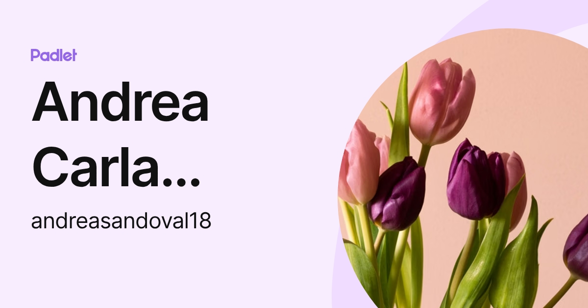 Andrea Carla Sandoval Beline Moreira (andreasandoval18) profile | Padlet