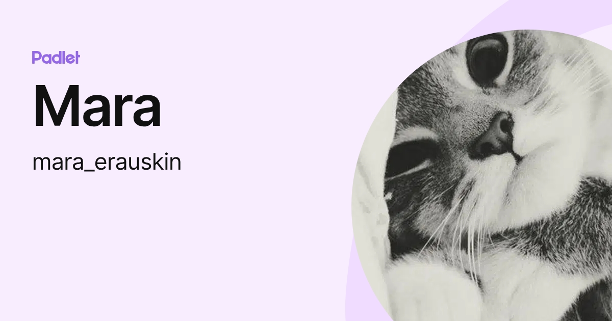 Mara (mara_erauskin) profile | Padlet