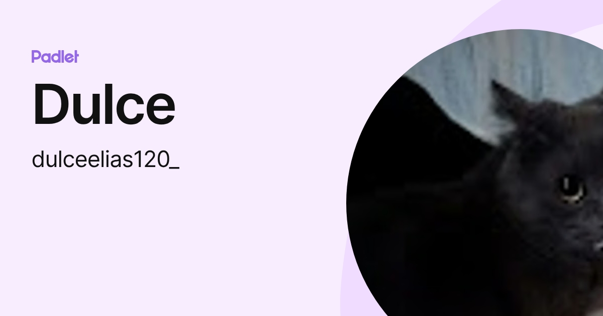 Dulce (dulceelias120_) profile | Padlet