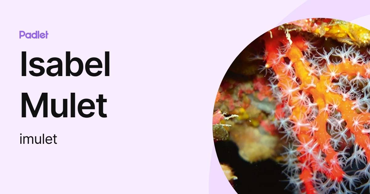 Isabel Mulet (imulet) profile | Padlet