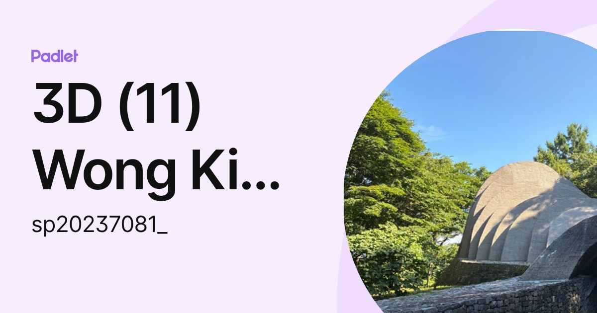 3D (11) Wong Kin Long (sp20237081_) profile | Padlet