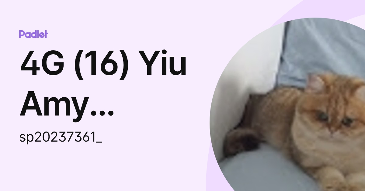 2G (32) Yiu Amy Sheung Yee (sp20237361_) profile | Padlet