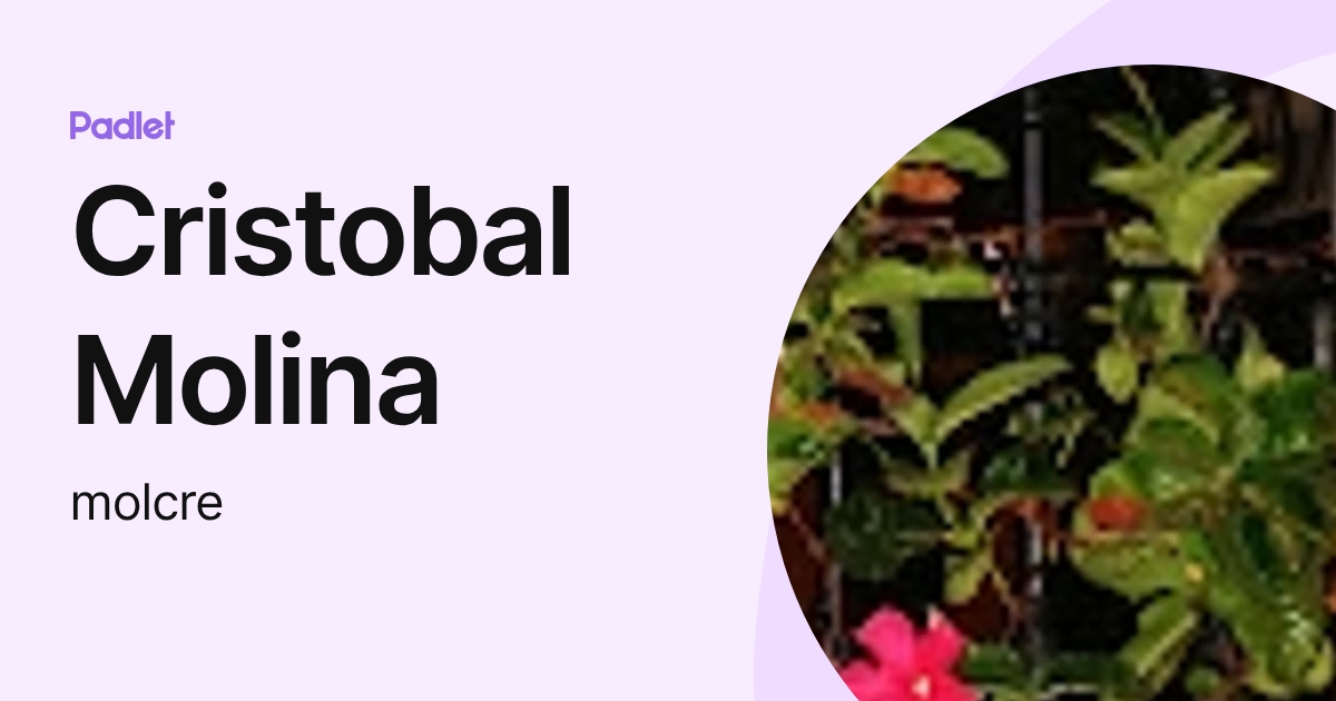 Cristobal Molina (molcre) profile | Padlet