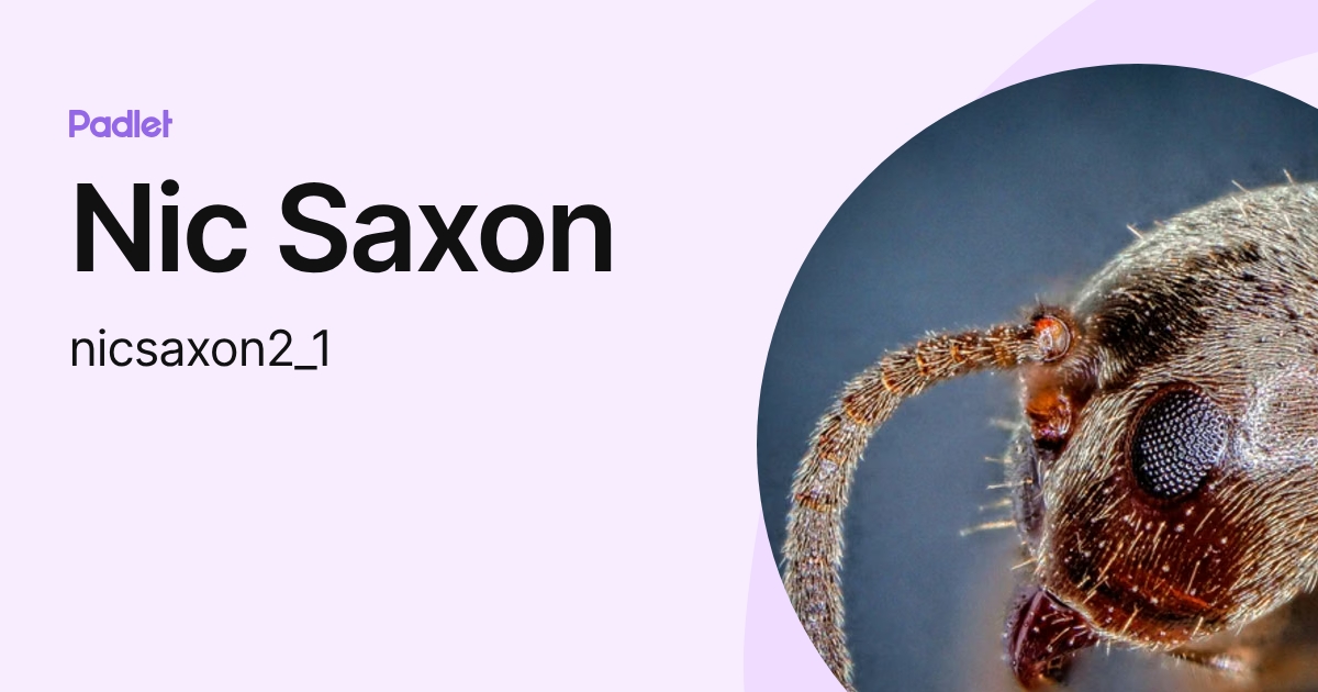 alien (nicsaxon2_1) profile | Padlet