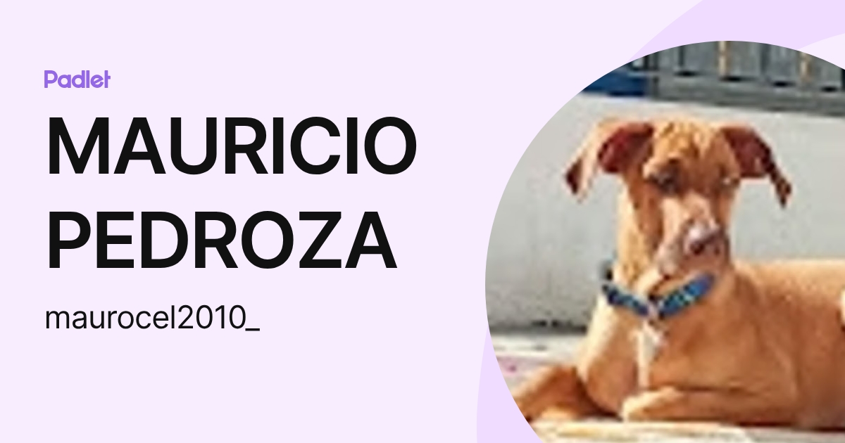 MAURICIO PEDROZA (maurocel2010_) profile | Padlet