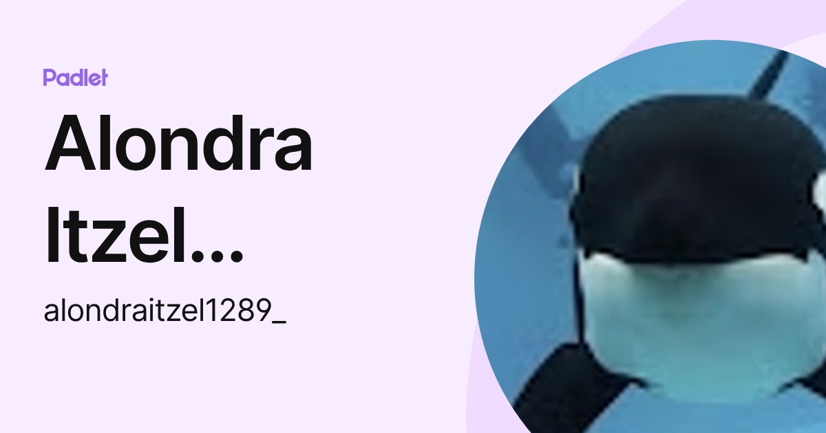 Alondra Itzel Murillo López (alondraitzel1289_) profile | Padlet