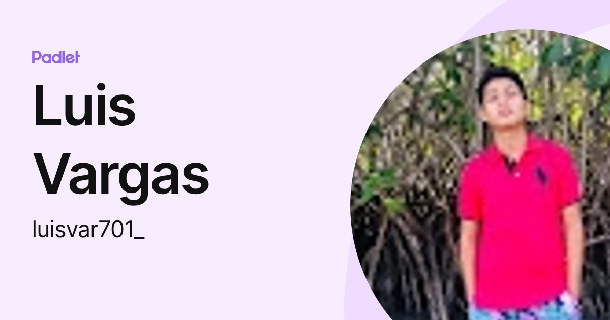 Luis Vargas (luisvar701_) profile | Padlet