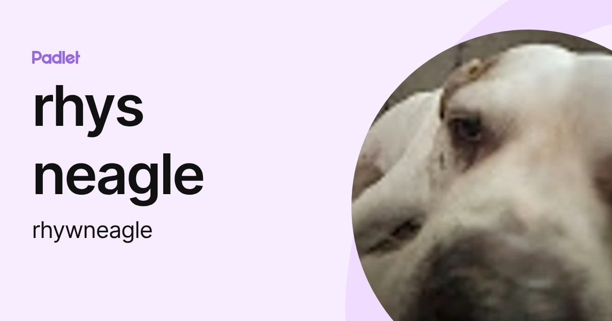 rhys neagle (rhywneagle) profile | Padlet