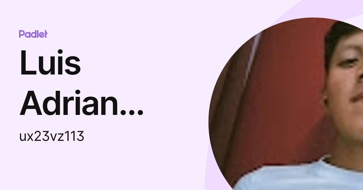 Luis Adrian Sánchez Sánchez (ux23vz113) profile | Padlet