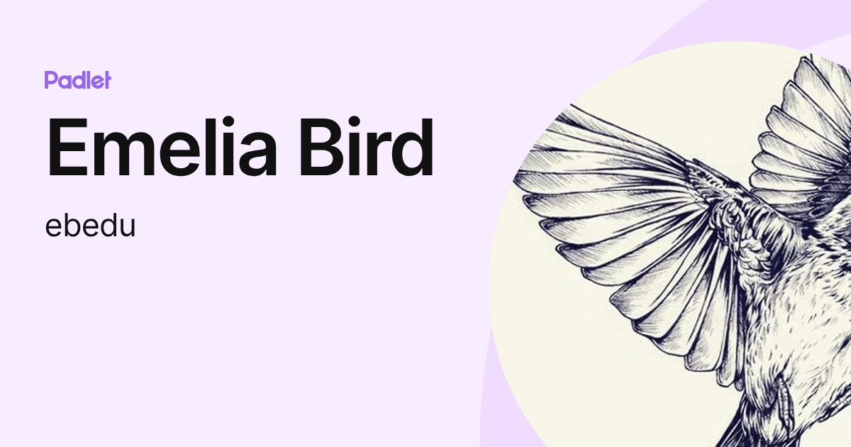 Emelia Bird (ebedu) profile | Padlet