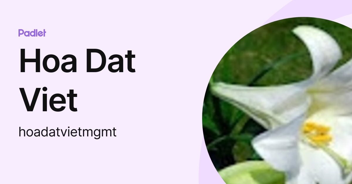 Hoa Dat Viet (hoadatvietmgmt) profile | Padlet