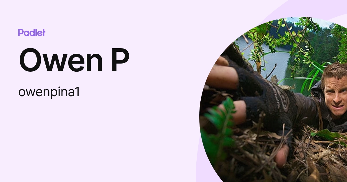 Owen P (owenpina1) profile | Padlet