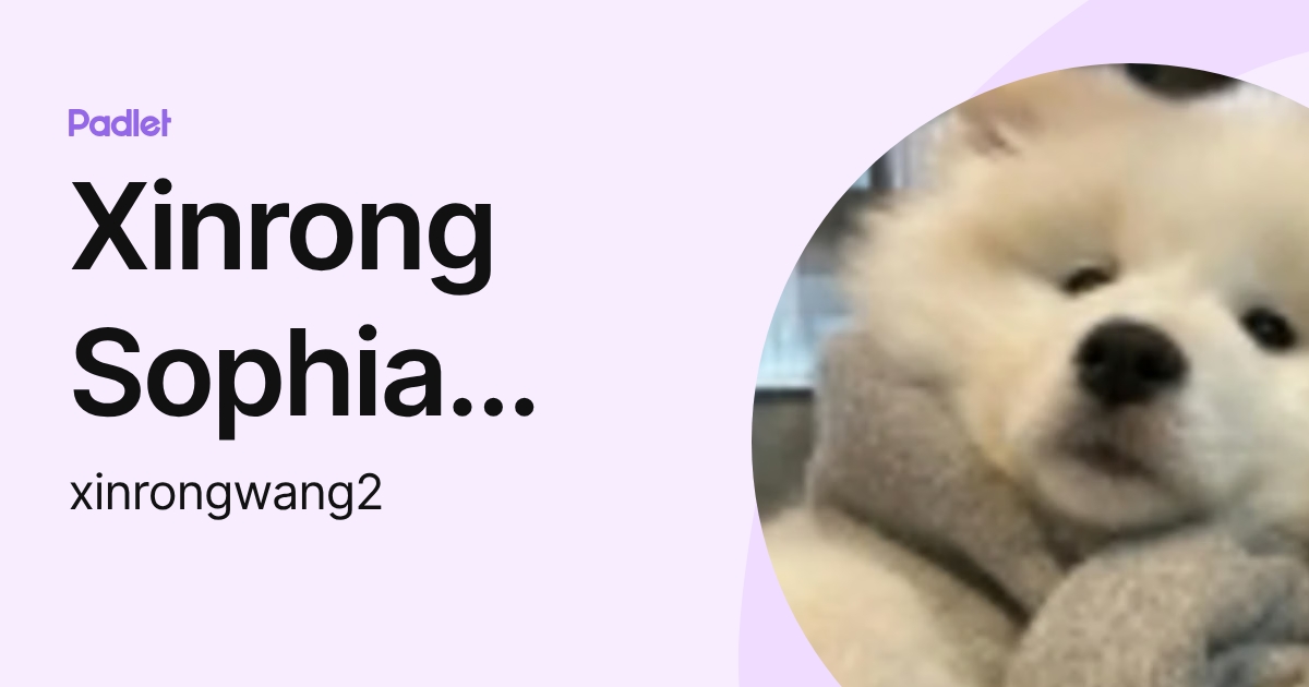 Xinrong Sophia Wang [STUDENT] (xinrongwang2) profile | Padlet