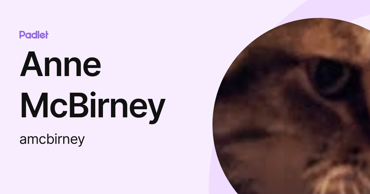 Anne McBirney (amcbirney) profile | Padlet