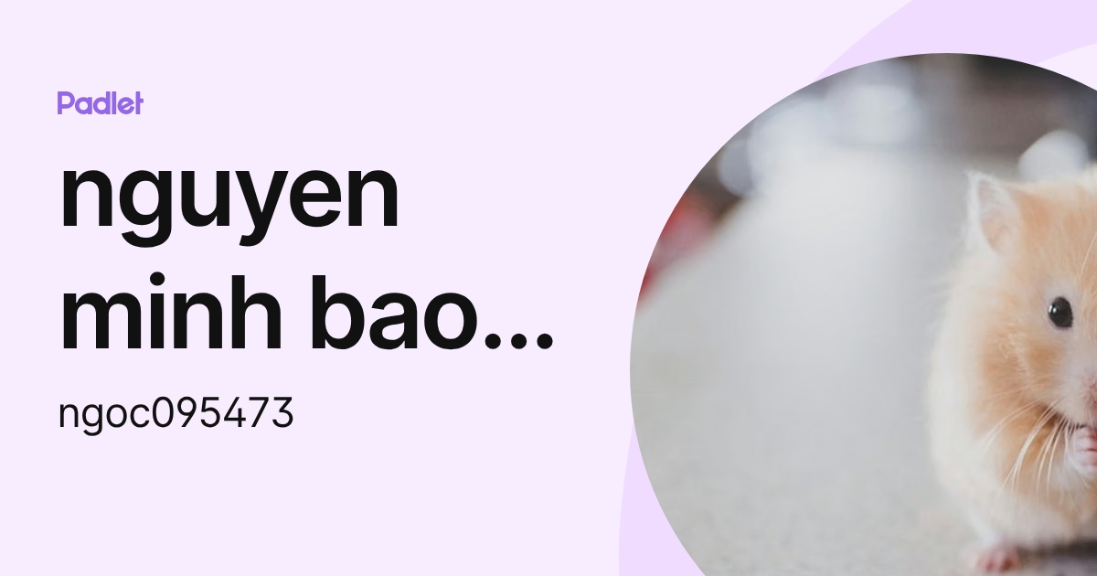 nguyen minh bao ngoc (ngoc095473) profile | Padlet