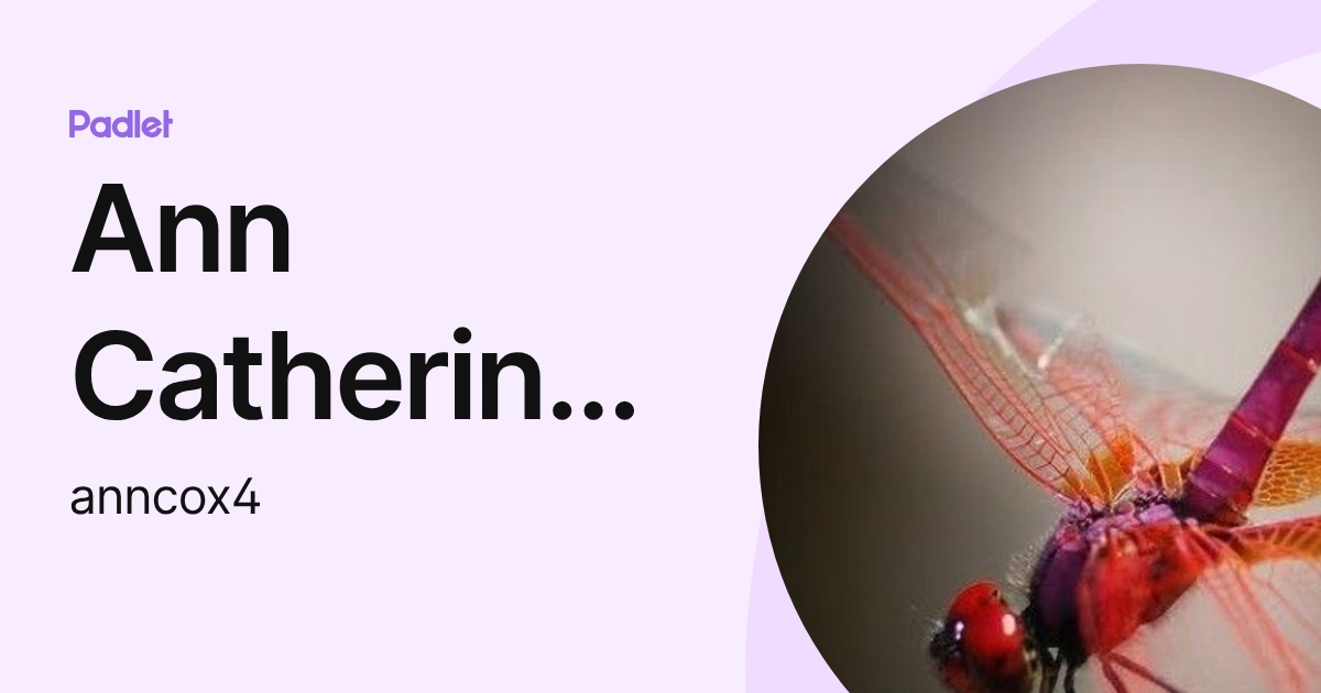Ann Catherine Cox (anncox4) profile | Padlet