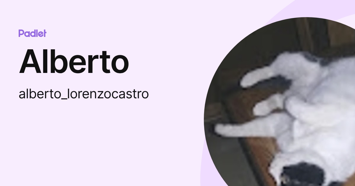 Alberto (alberto_lorenzocastro) profile | Padlet