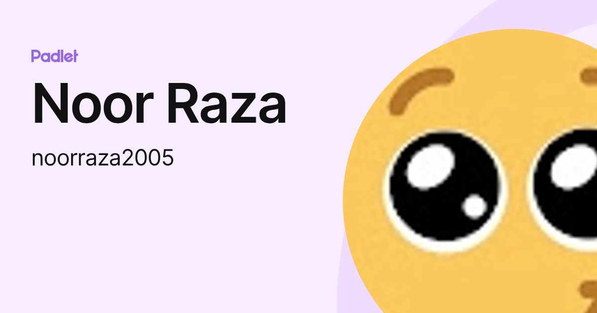 Noor Raza (noorraza2005) profile | Padlet