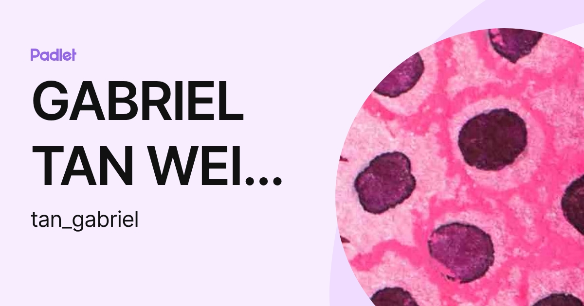 GABRIEL TAN WEI YANG Student (tan_gabriel) profile | Padlet