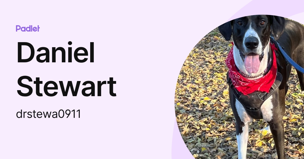 Daniel Stewart (drstewa0911) profile | Padlet