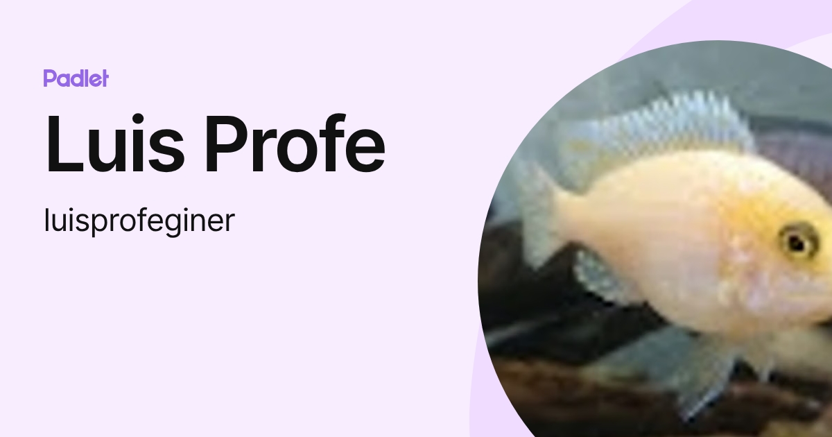 Luis Profe (luisprofeginer) profile | Padlet