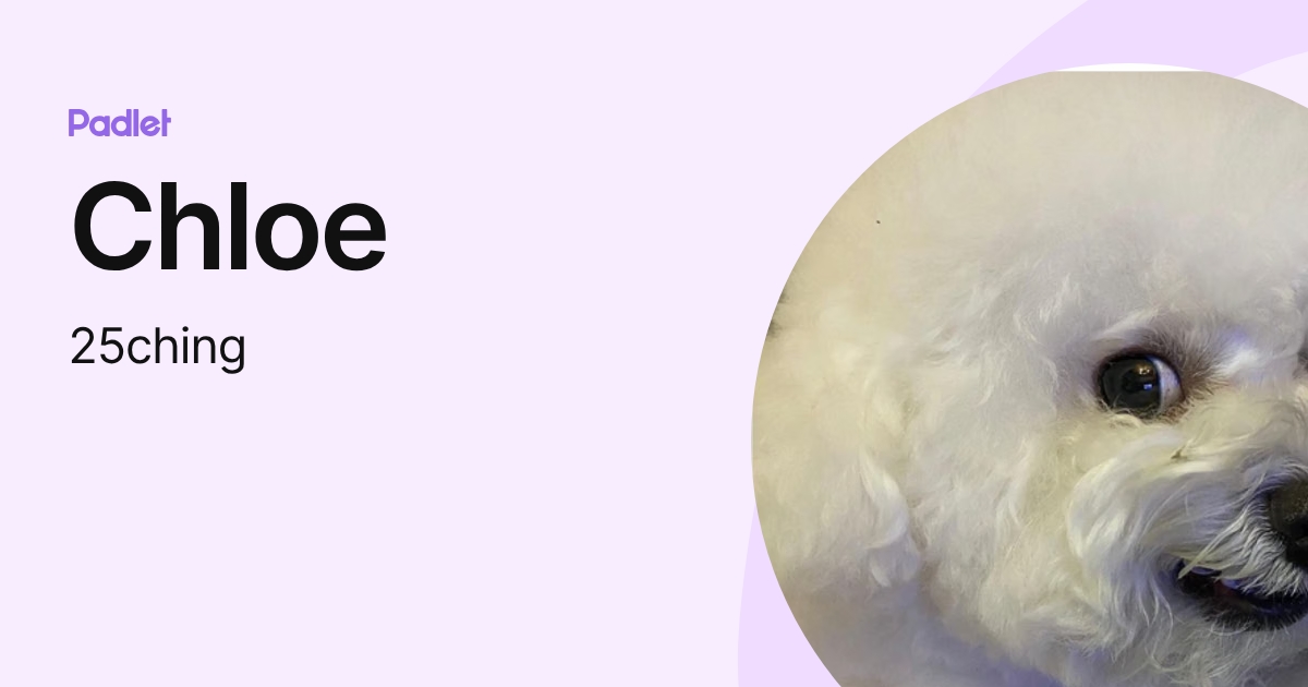 Chloe (25ching) profile | Padlet
