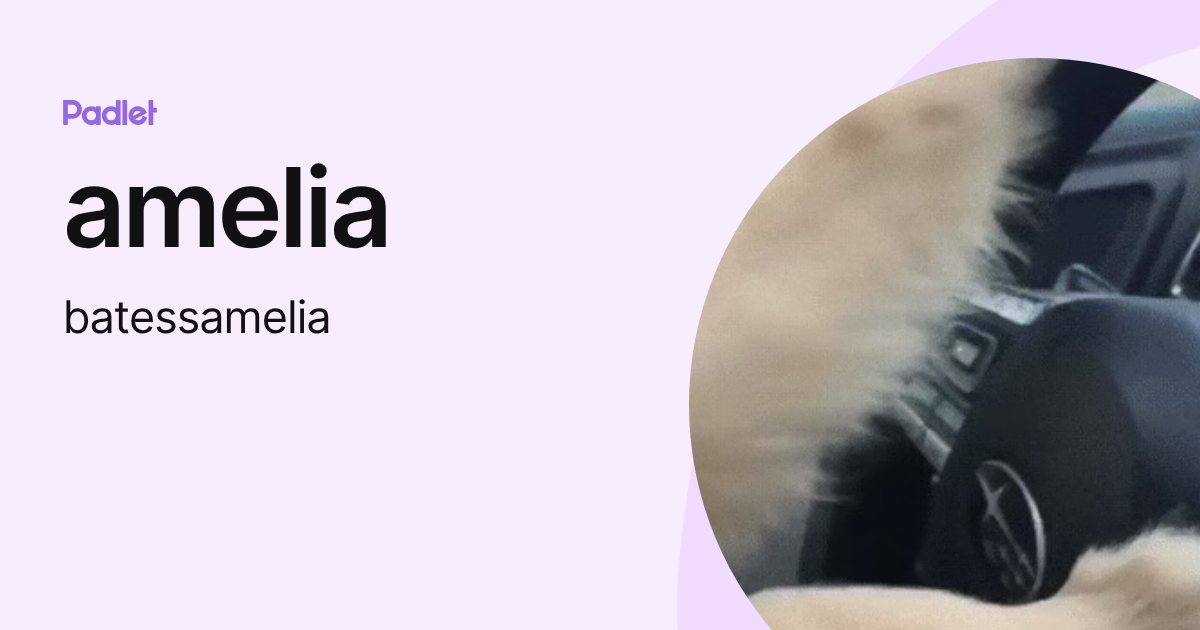amelia (batessamelia) profile | Padlet