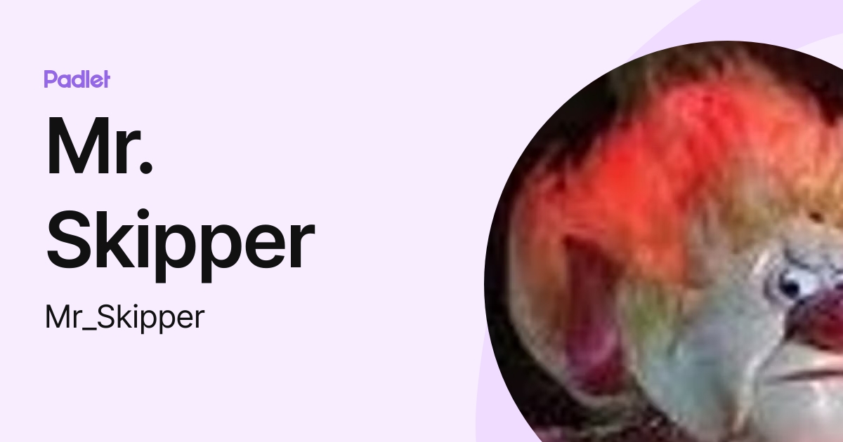 Mr. Skipper (Mr_Skipper) profile | Padlet