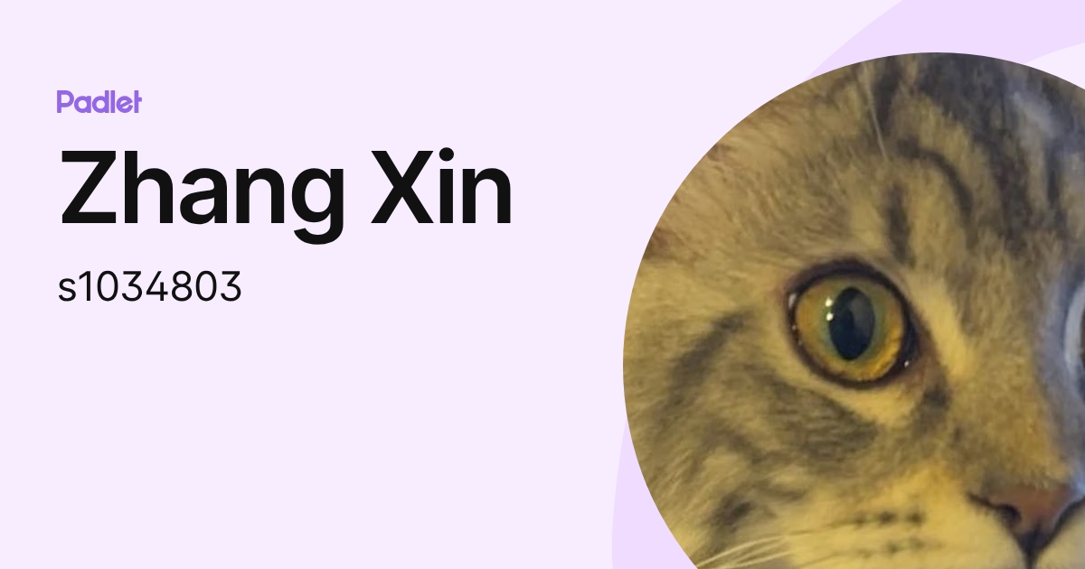 Zhang Xin (s1034803) profile | Padlet