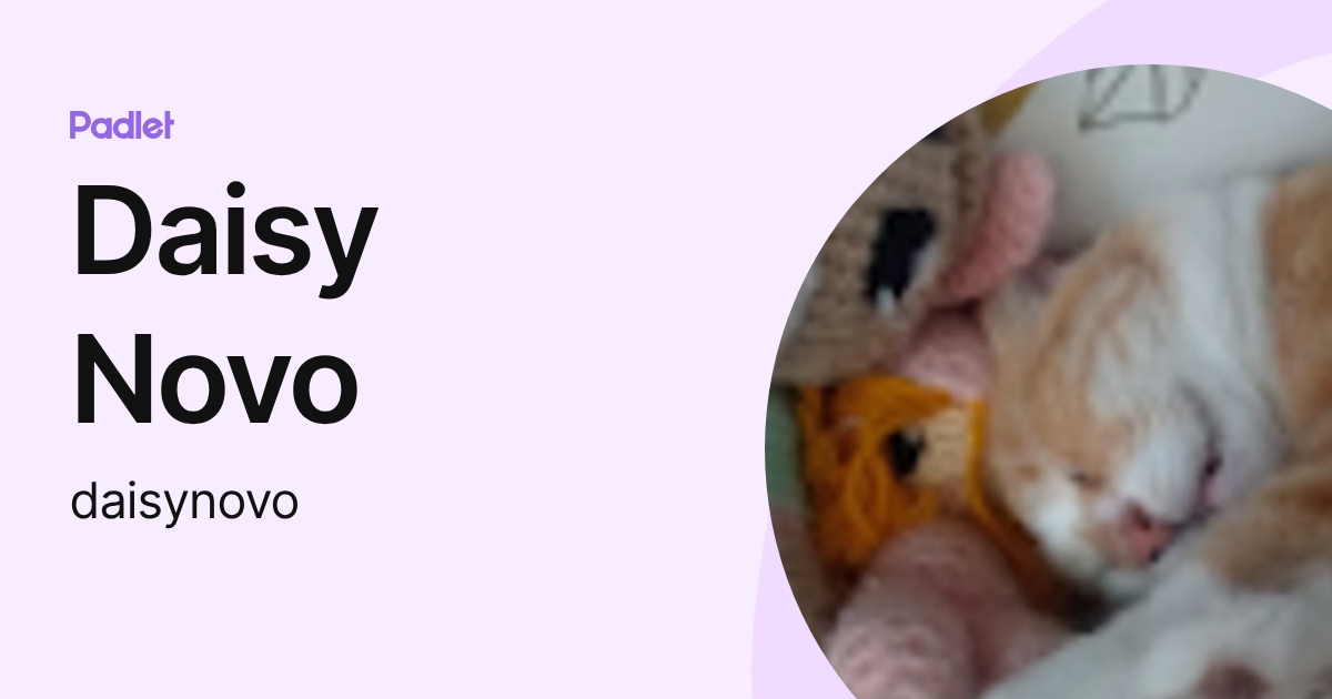 Daisy Novo (daisynovo) profile | Padlet