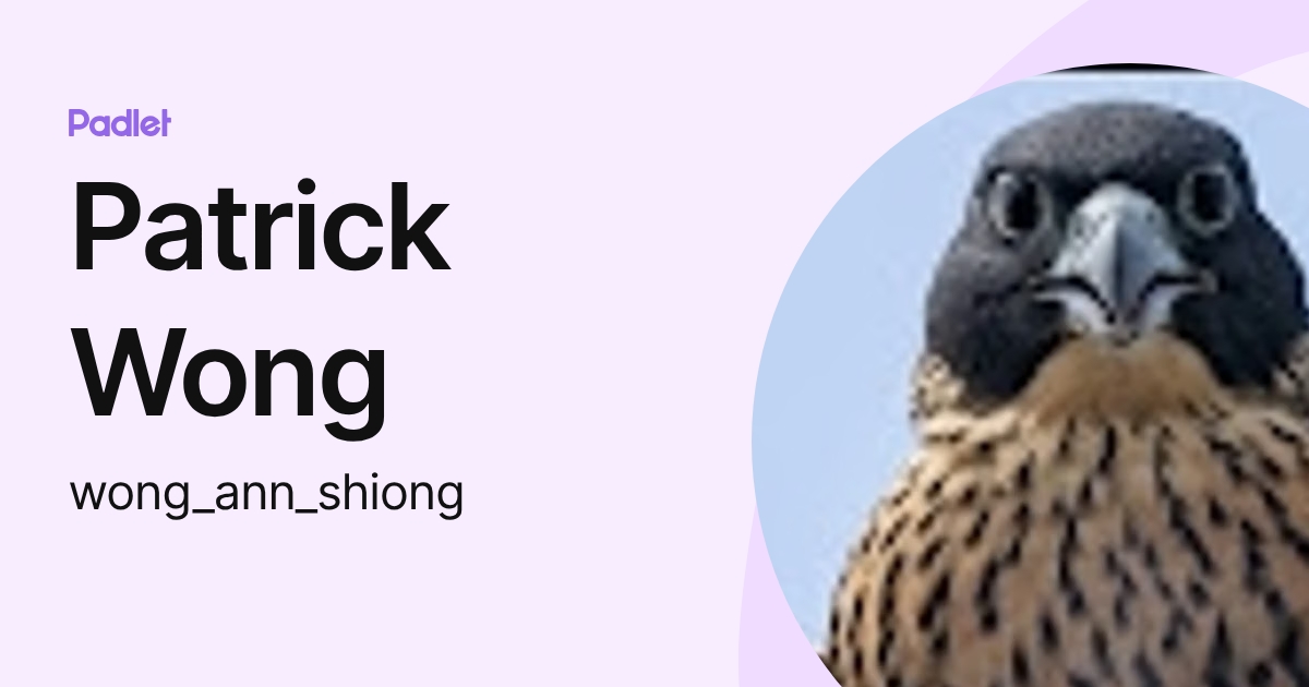 Patrick Wong (wong_ann_shiong) profile | Padlet