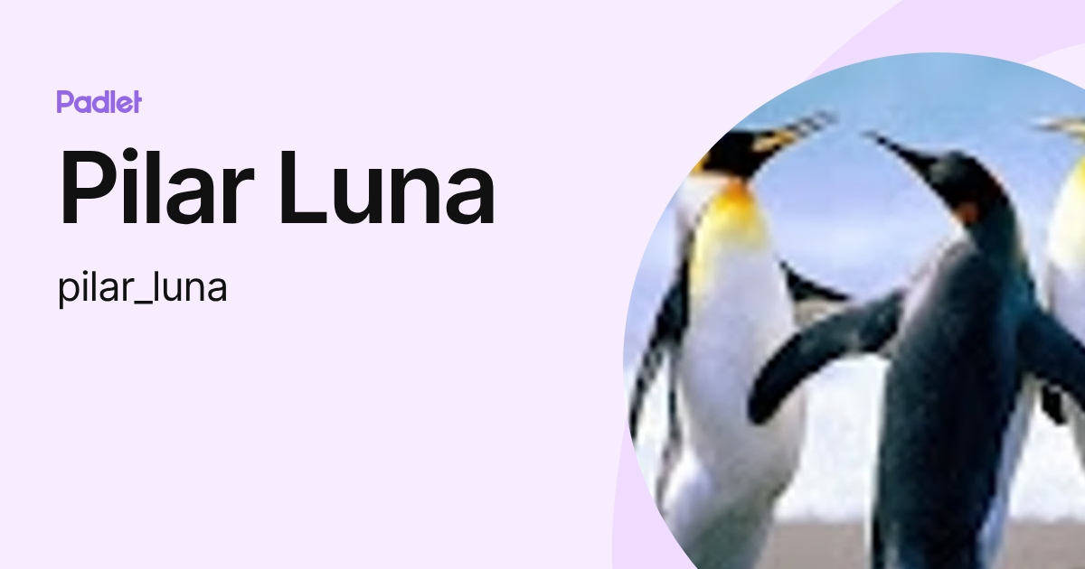 Pilar Luna (pilar_luna) profile | Padlet