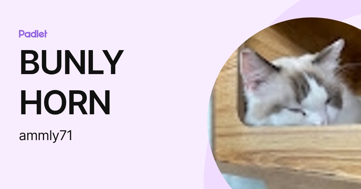 BUNLY HORN (ammly71) profile | Padlet