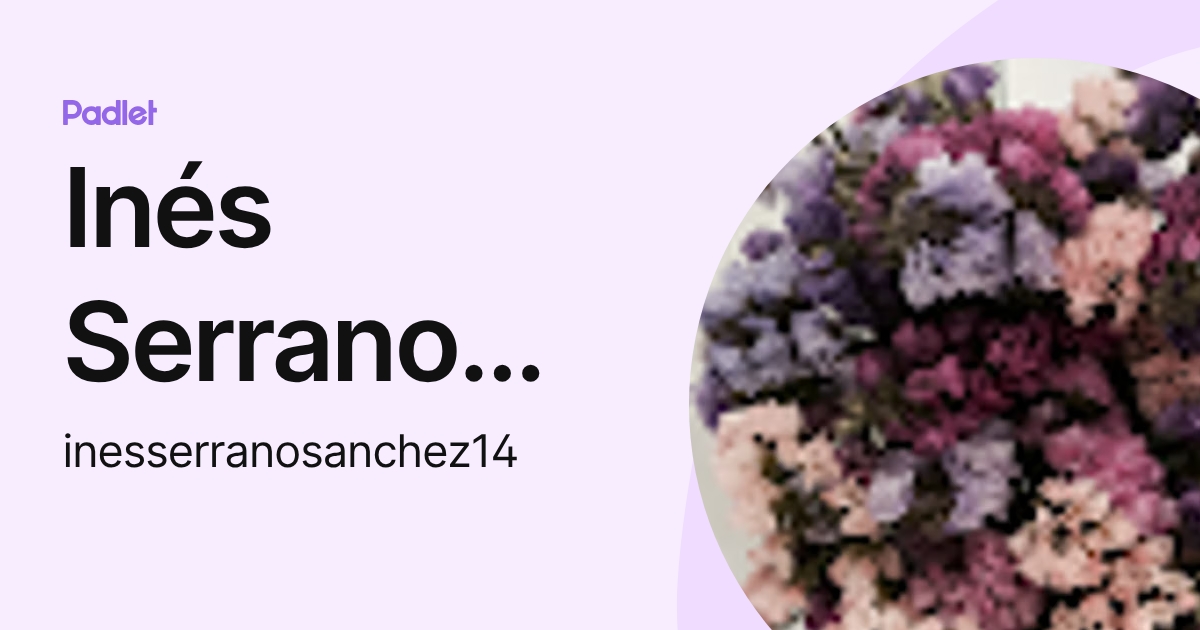 Inés Serrano Sánchez (inesserranosanchez14) profile | Padlet