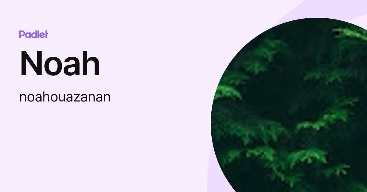 Noah (noahouazanan) profile | Padlet