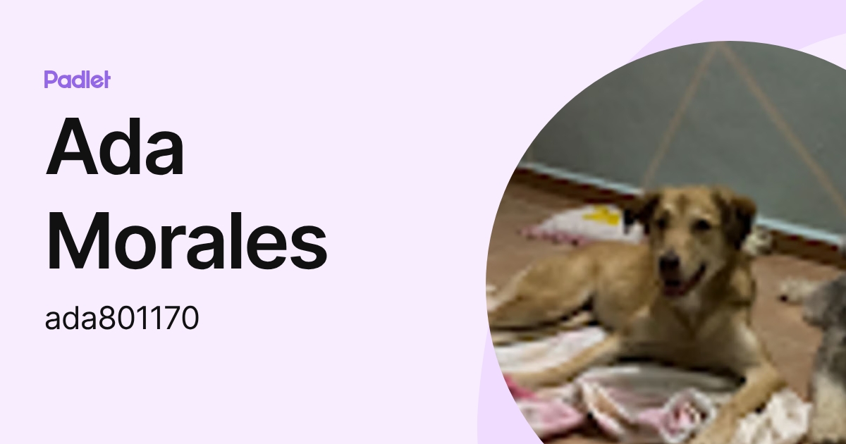 Ada Morales (ada801170) profile | Padlet