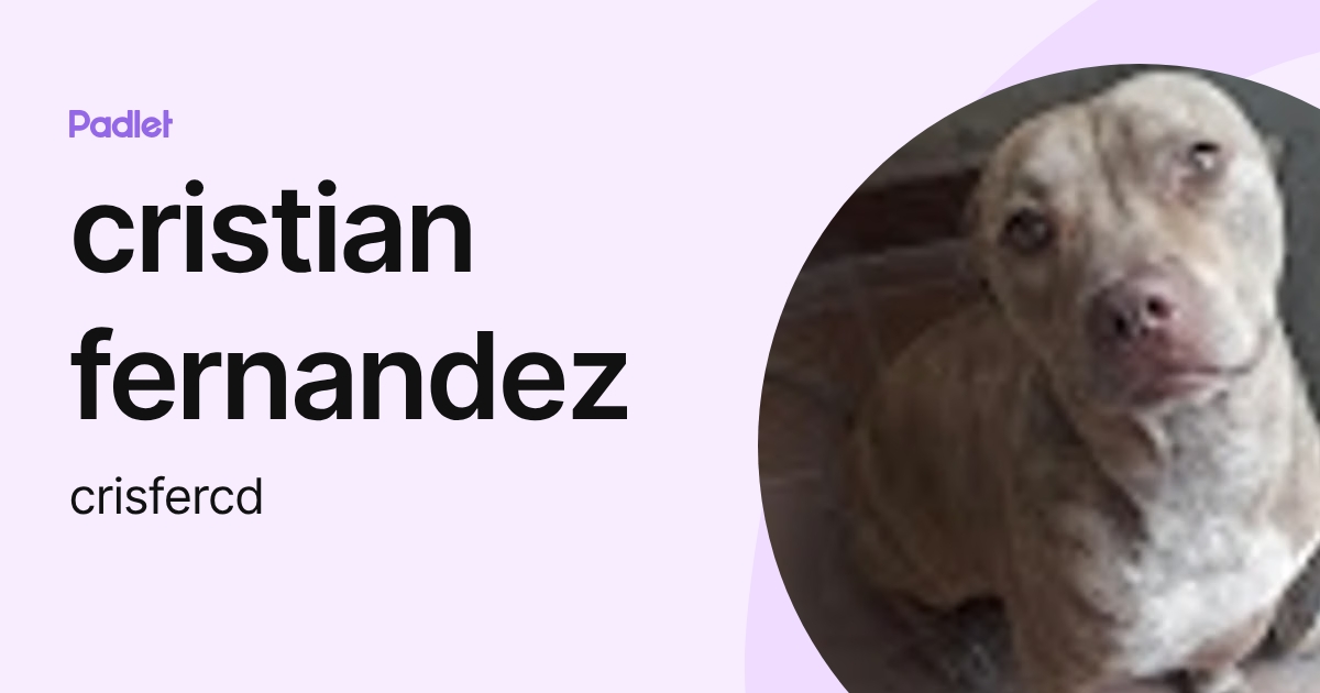 cristian fernandez (crisfercd) profile | Padlet