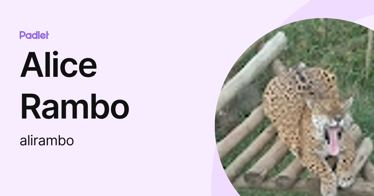 Alice Rambo (alirambo) profile | Padlet