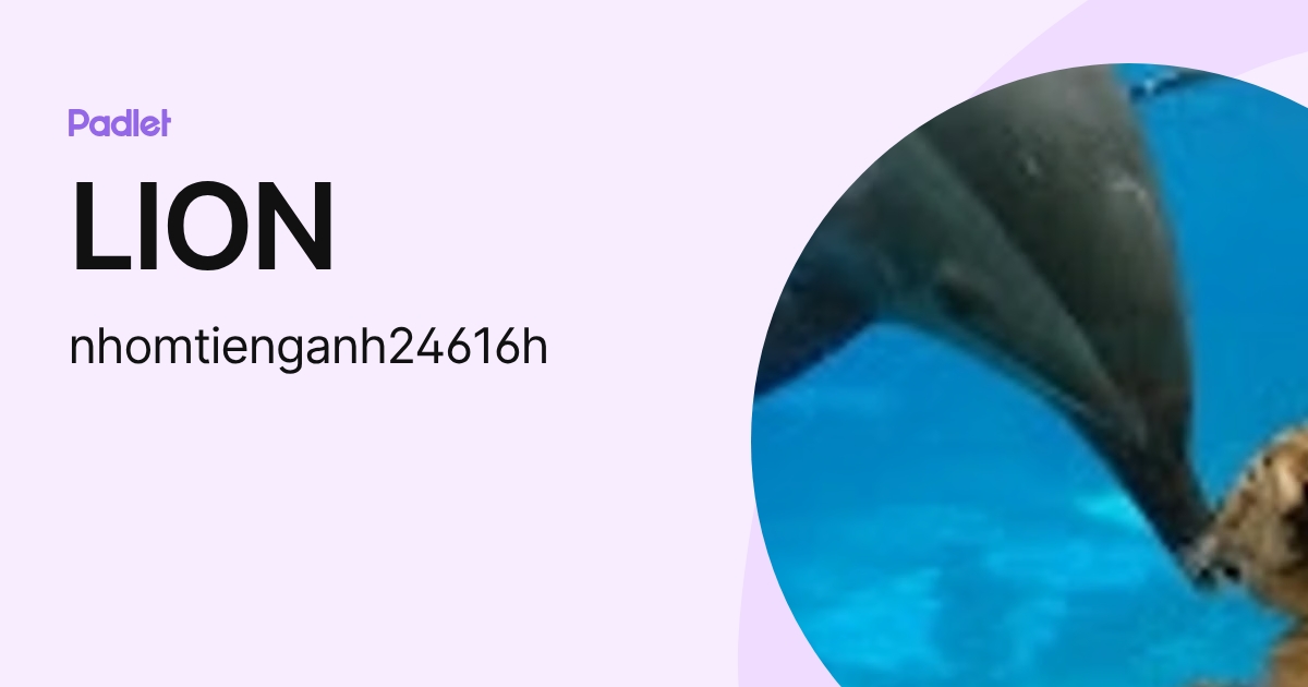LION (nhomtienganh24616h) profile | Padlet