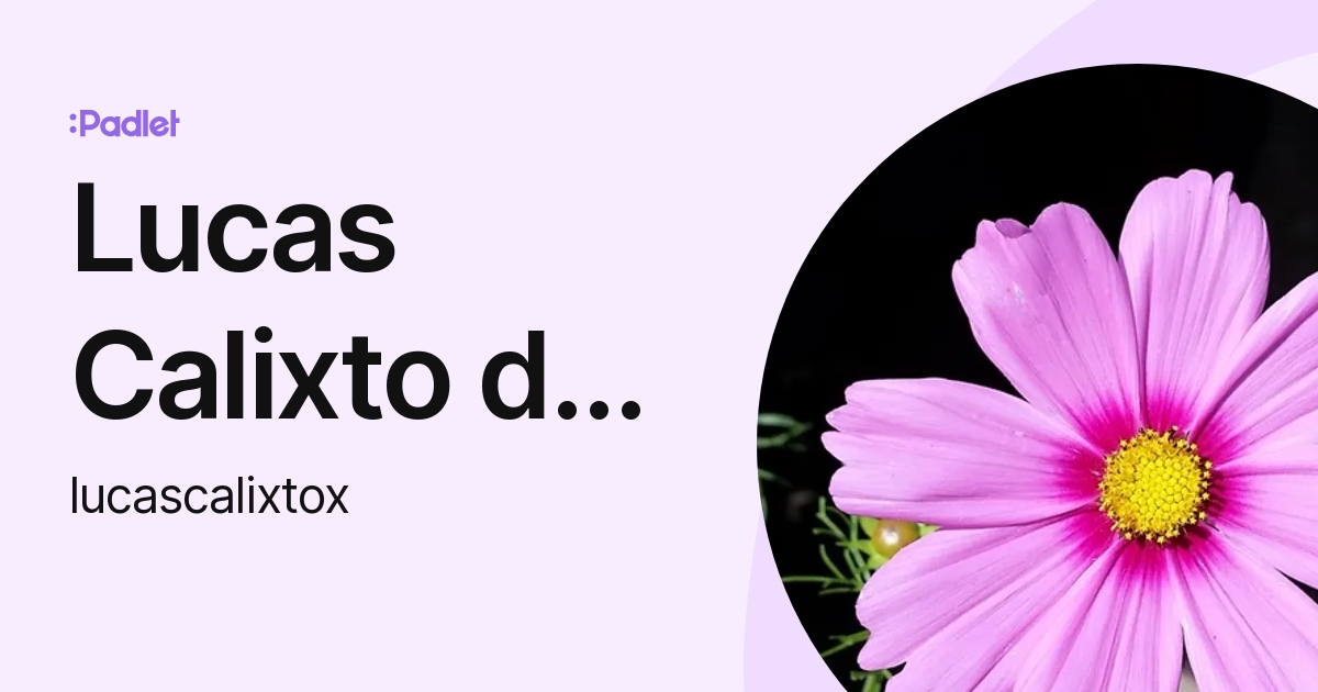 Lucas Calixto de menezes (lucascalixtox) profile | Padlet