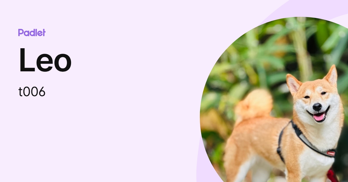 Leo (t006) profile | Padlet