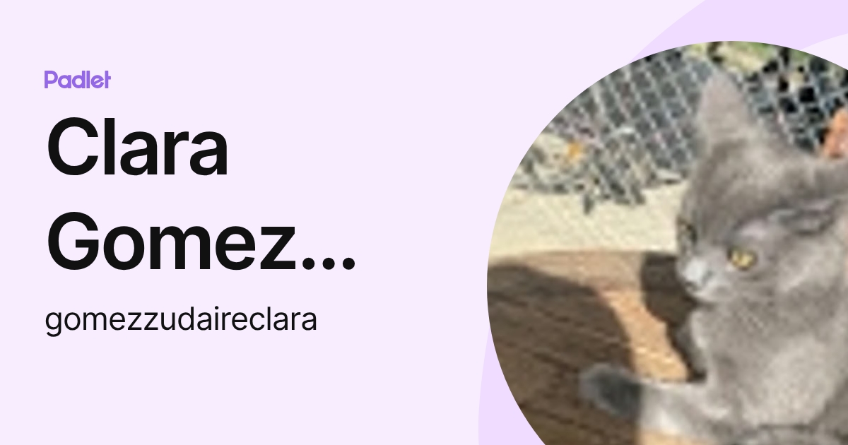 Clara Gomez zudaire (gomezzudaireclara) profile | Padlet