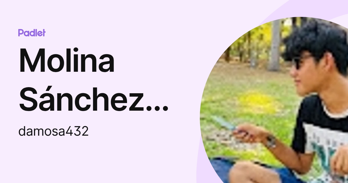 Molina Sánchez David (damosa432) profile | Padlet