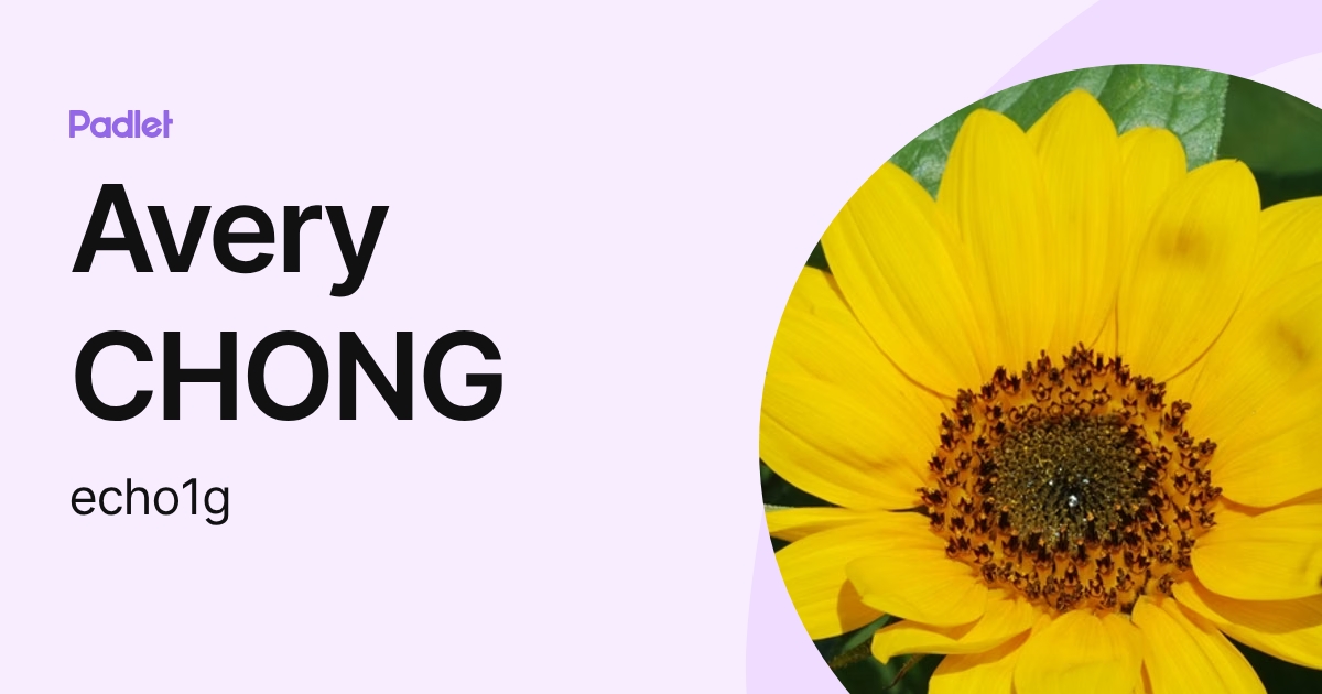 Avery CHONG (echo1g) profile | Padlet